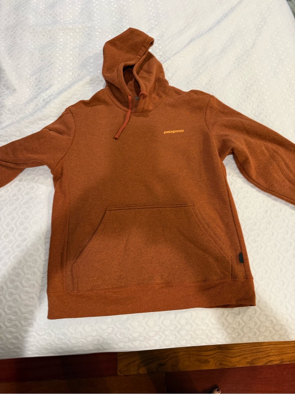 Patagonia Men's Pullover Hoodie in Rust